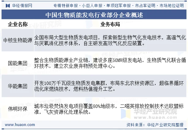 中国生物质能发电行业部分企业概述
