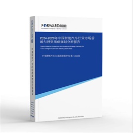 2025-2030年中国智能汽车行业市场前瞻与投资战略规划分析报告