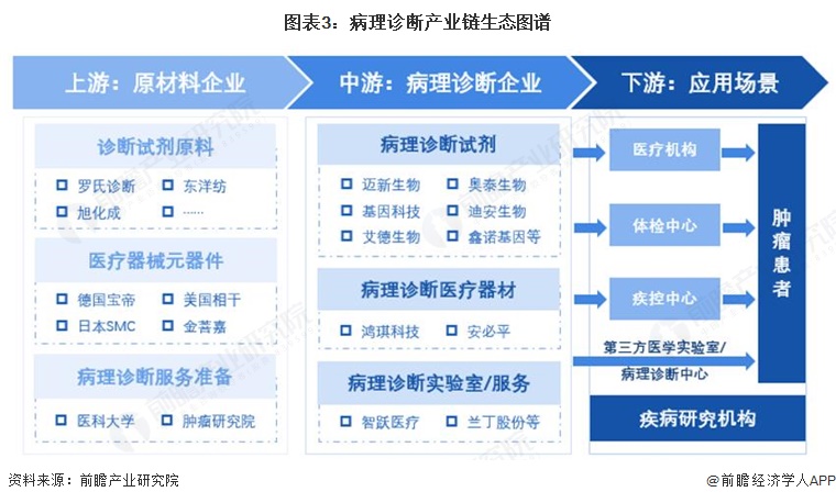 图表3：病理诊断产业链生态图谱