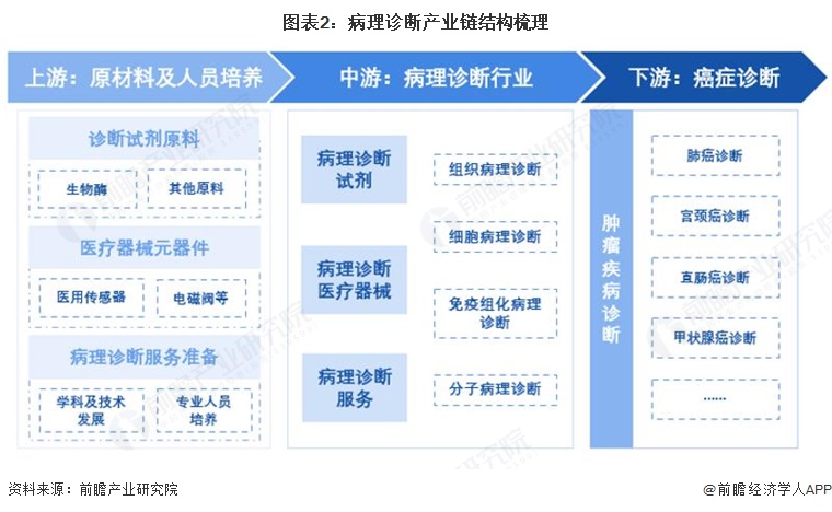 图表2：病理诊断产业链结构梳理