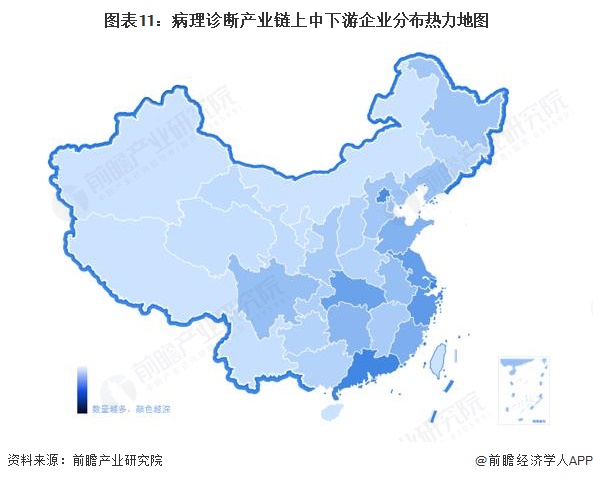 图表11：病理诊断产业链上中下游企业分布热力地图