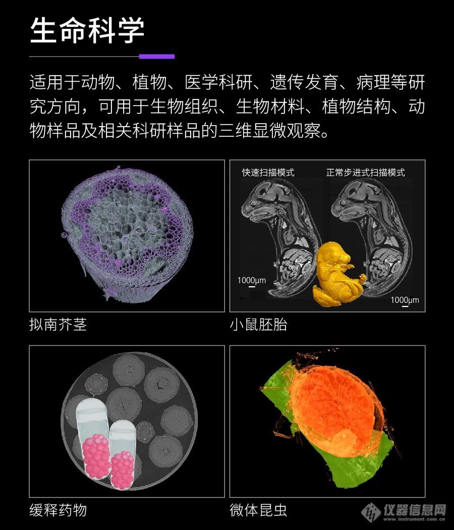 蔡司9.jpg