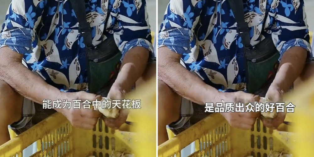 对话Mamoda团队:业内首个DiT-MoE视频生成基座是如何炼成的?