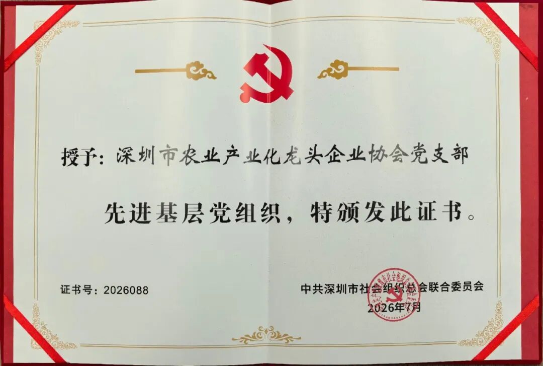 先进基层党组织证书（2026）.jpg