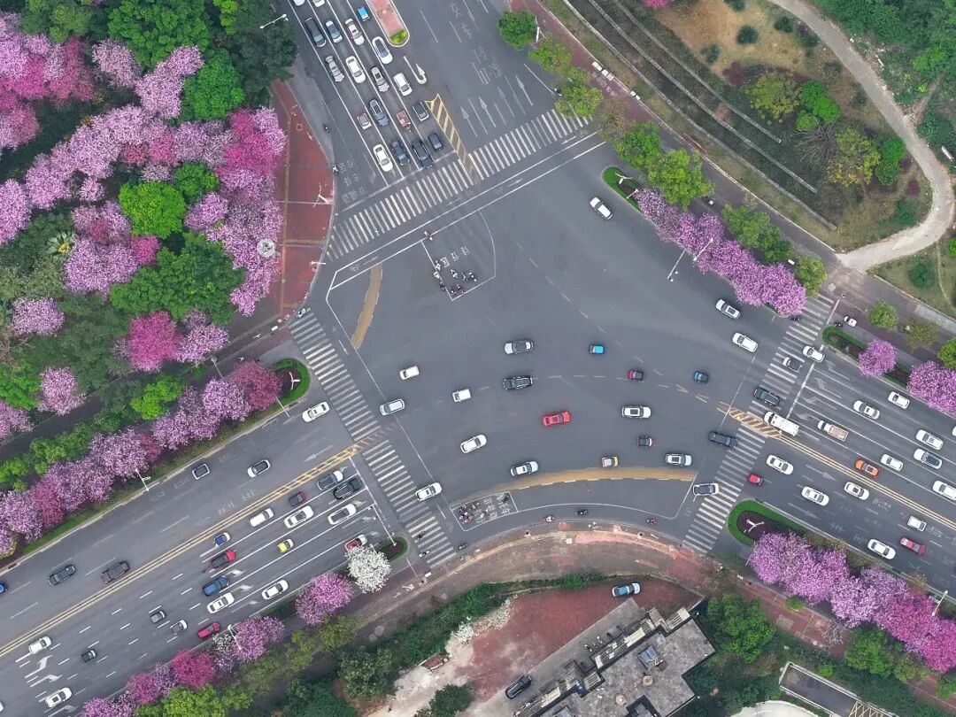 2025年，汽车行驶在广西柳州市学院路上，其中部分为柳州产的新能源汽车/新华社记者 黄孝邦 摄