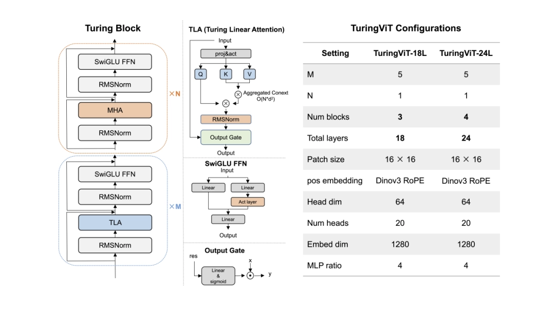 TuringViT 的块架构和模型配置