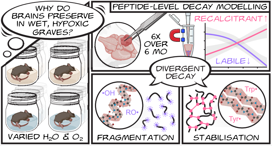 （来源：Journal of Proteome Research）