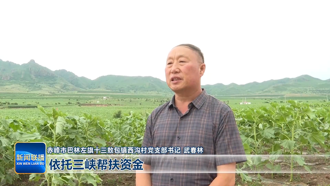 视频截图