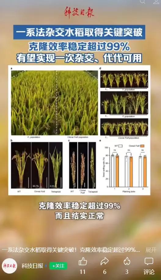 【来源：IT之家】