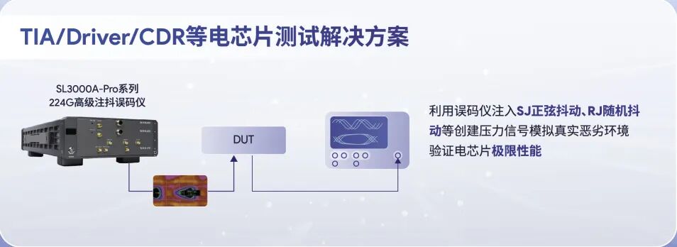 f5bc13d2-86f2-11f1-ab55-92fbcf53809c.jpg