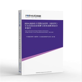 2026-2031年中国隐身材料（超材料）行业发展前景预测与投资战略规划分析报告