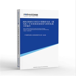 2026-2031年全球及中国微特电机(微电机)行业发展前景展望与投资机遇分析报告