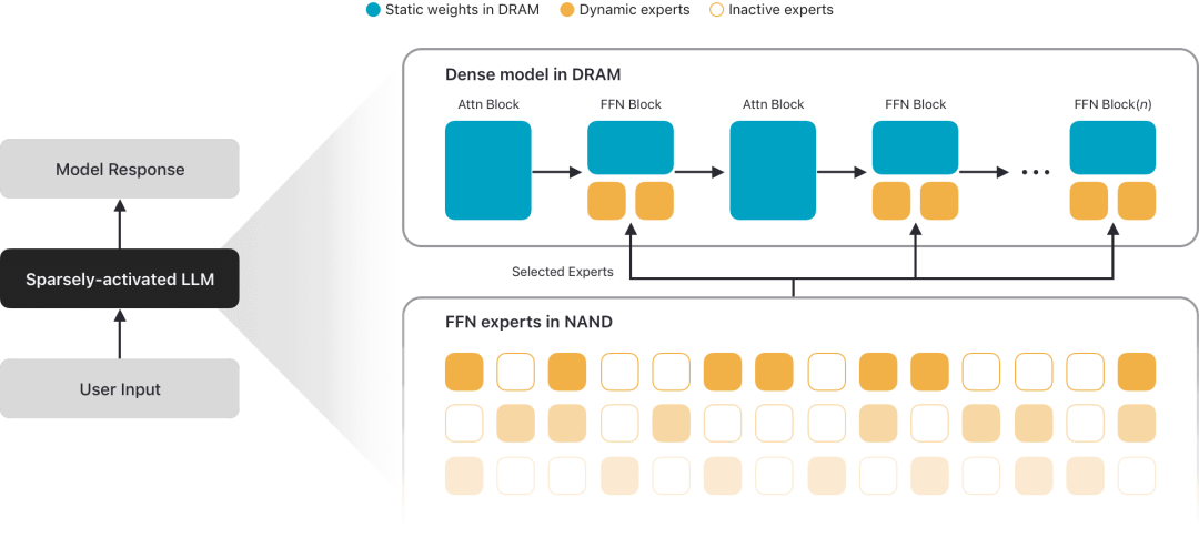 AFM 3 Core Advanced Model Architecture