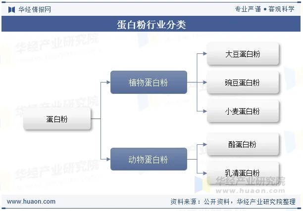 蛋白粉行业分类