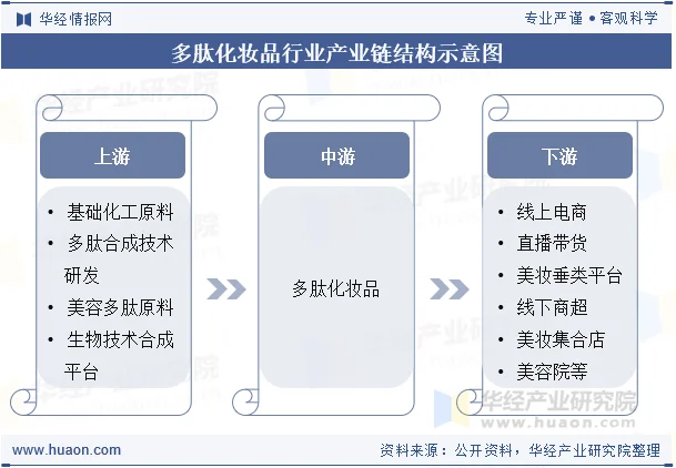 多肽化妆品行业产业链结构示意图