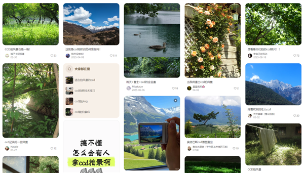 手机没有彻底干掉相机 但干掉了买相机的人