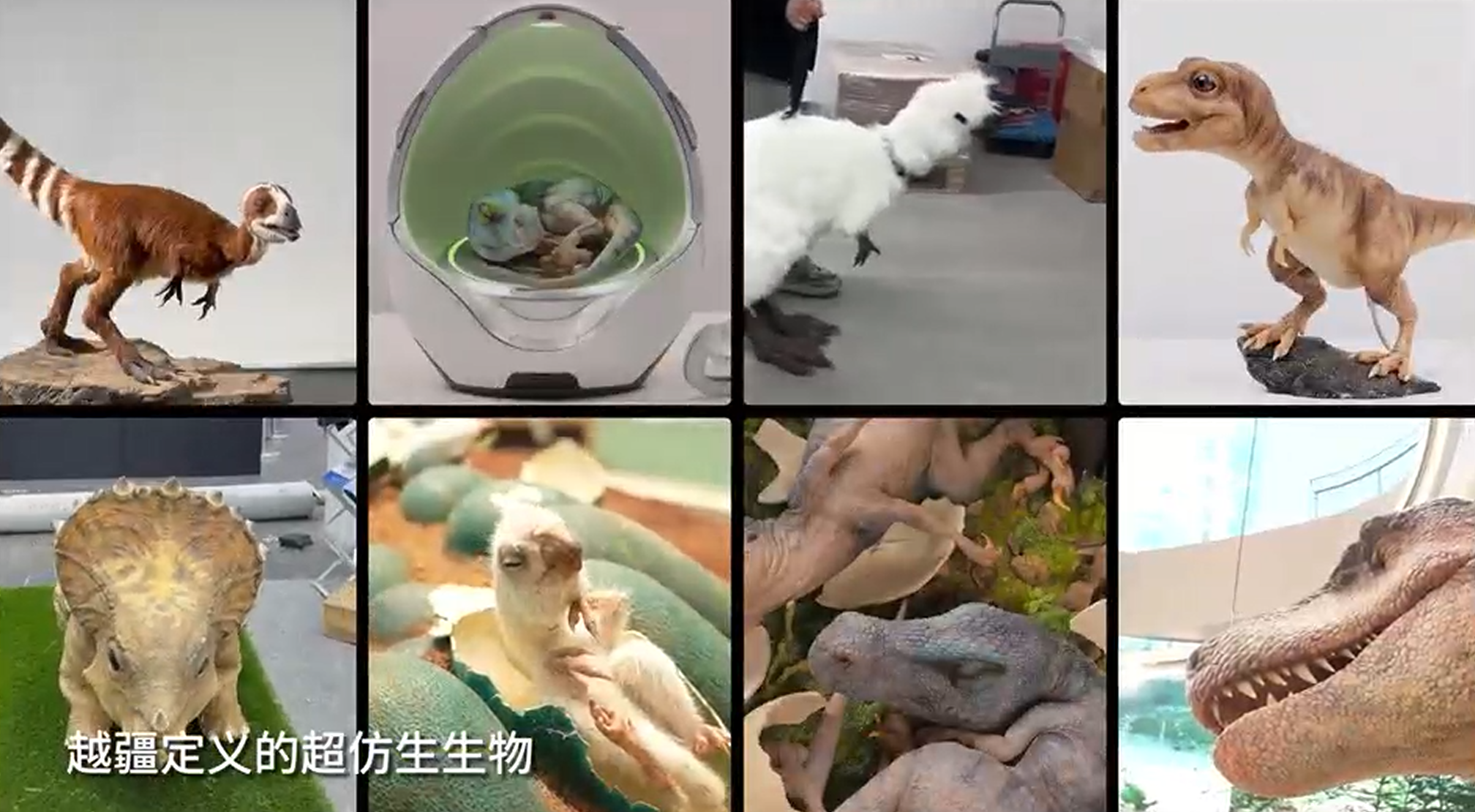 9米巨兽“复活”！深圳自然博物馆开馆首日，越疆仿生恐龙引爆全场