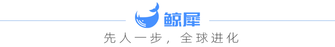 连续创业者郦轲组明星阵容，不仅有AI大牛，还有顶奢设计团队加持。作者丨姚单编辑丨董子博