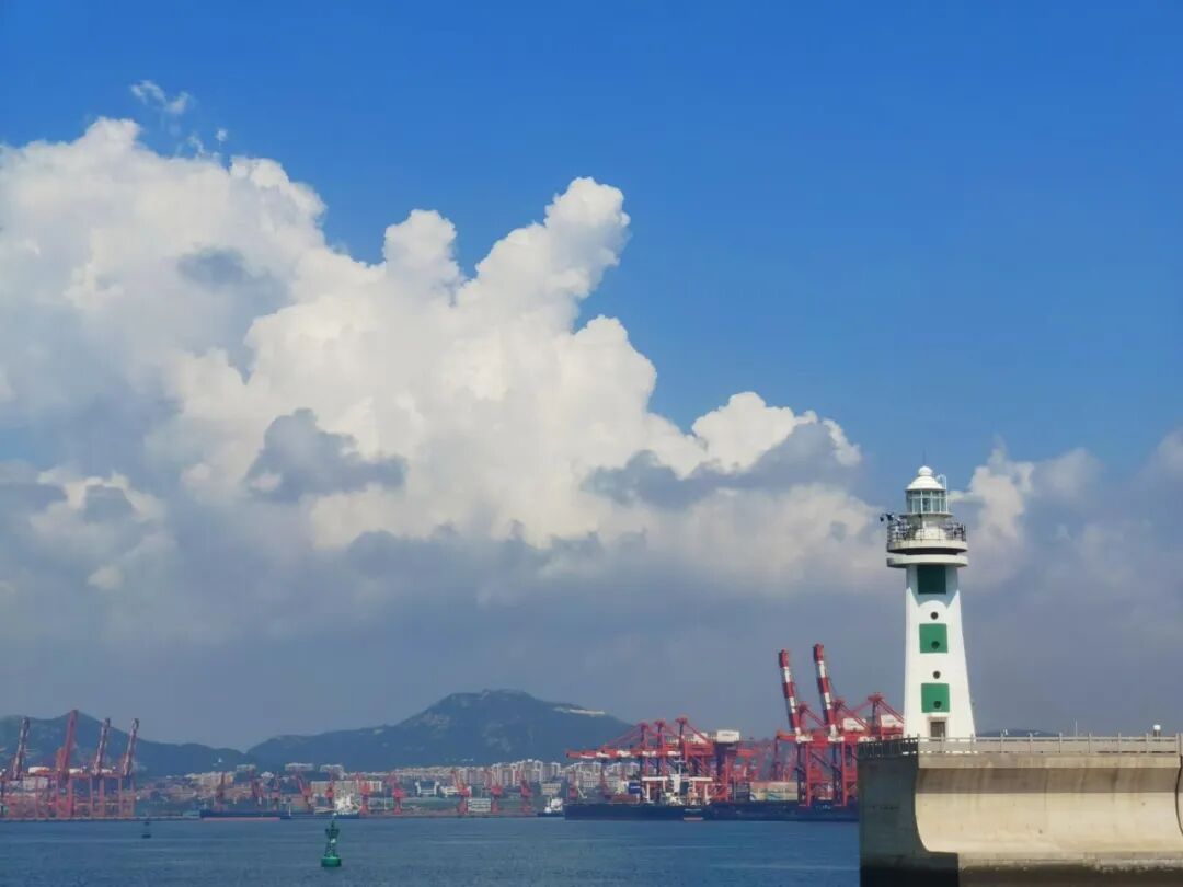 指定题材类+轮驳公司+张延铭+《港口风景“画”》.jpg