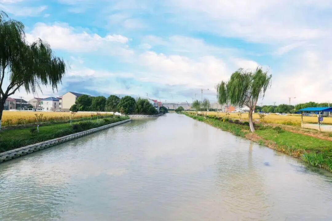 洋家堆河修.jpg