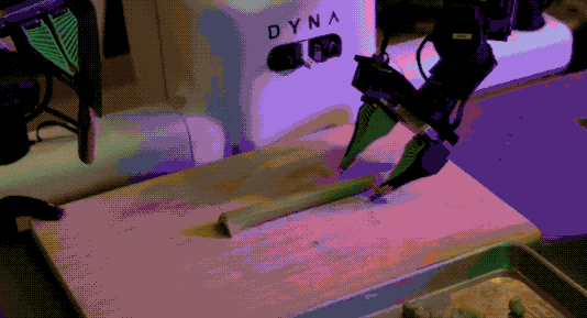 英伟达押注的华人团队发布世界动作模型Dyna-2，验证跨本体scaling law