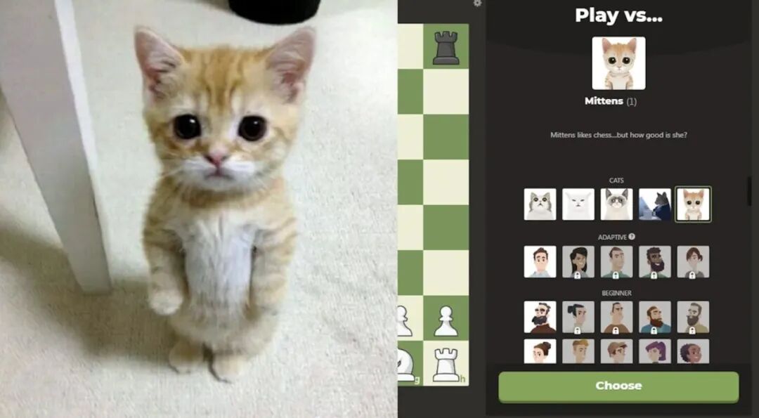 Chess 推出的下棋 AI Mittens 小猫「人萌话不多」，但棋艺高超｜图片来源：Chess.com