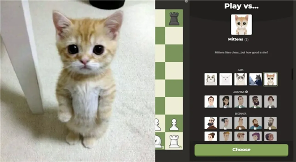 Chess 推出的下棋 AI Mittens 小猫「人萌话不多」，但棋艺高超｜图片来源：Chess.com
