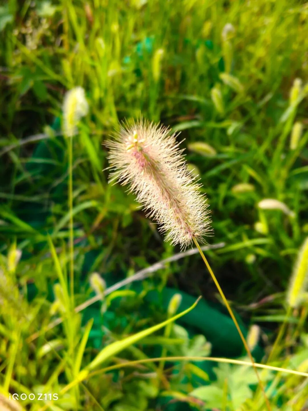 iQOO Z11S深度体验：万级超薄蓝海电池，可以打电话的充电宝