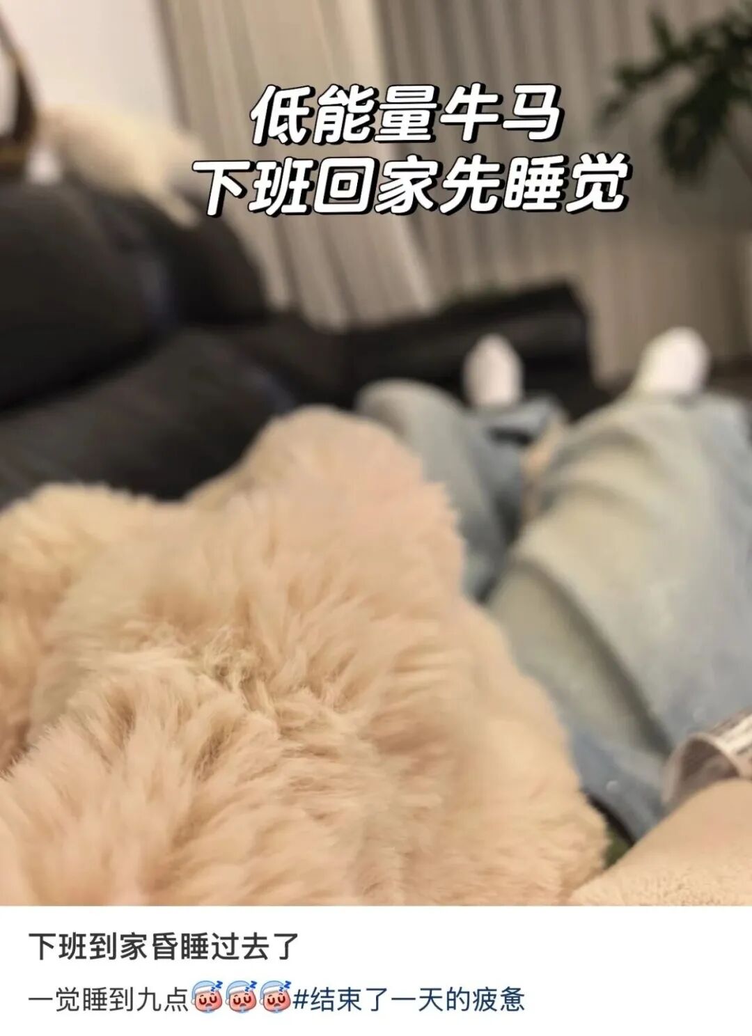 图源：不做饭就没饭吃