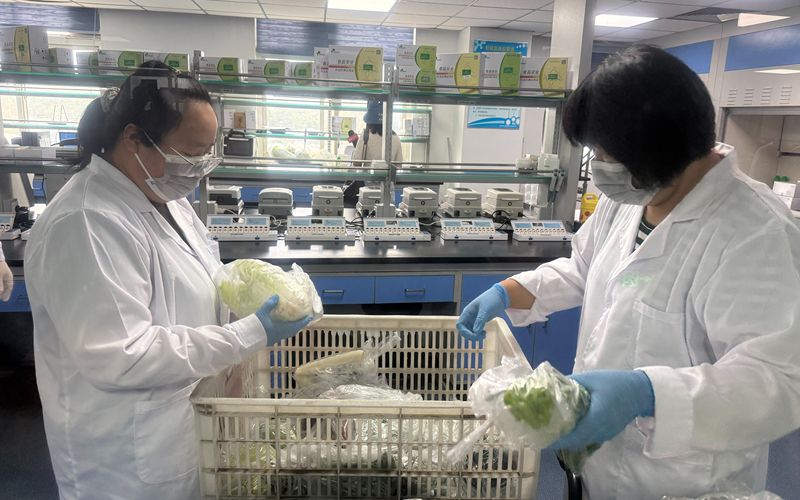 工作人员在整理送检样本。新京报记者 陈琳 摄