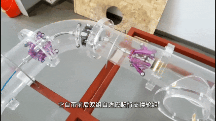 8月21日 (1)(1).gif