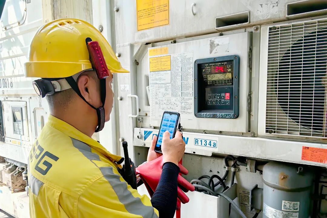 微信图片_20260814074430_26_319.jpg