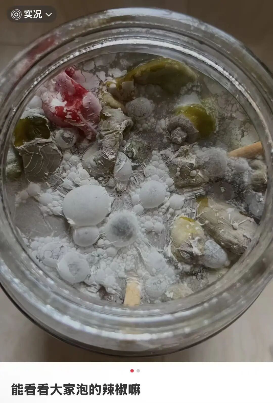 网友分享泡菜坛子里长出的霉菌