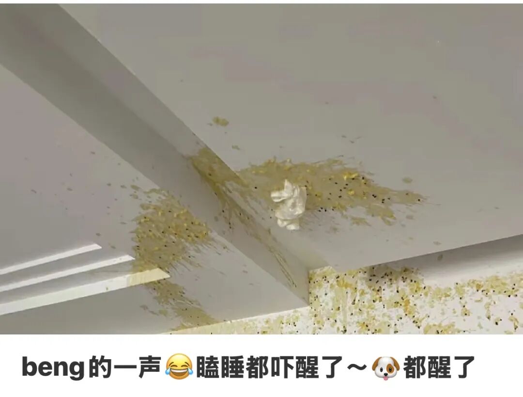 社交平台上，网友晒出各种“爆炸现场”