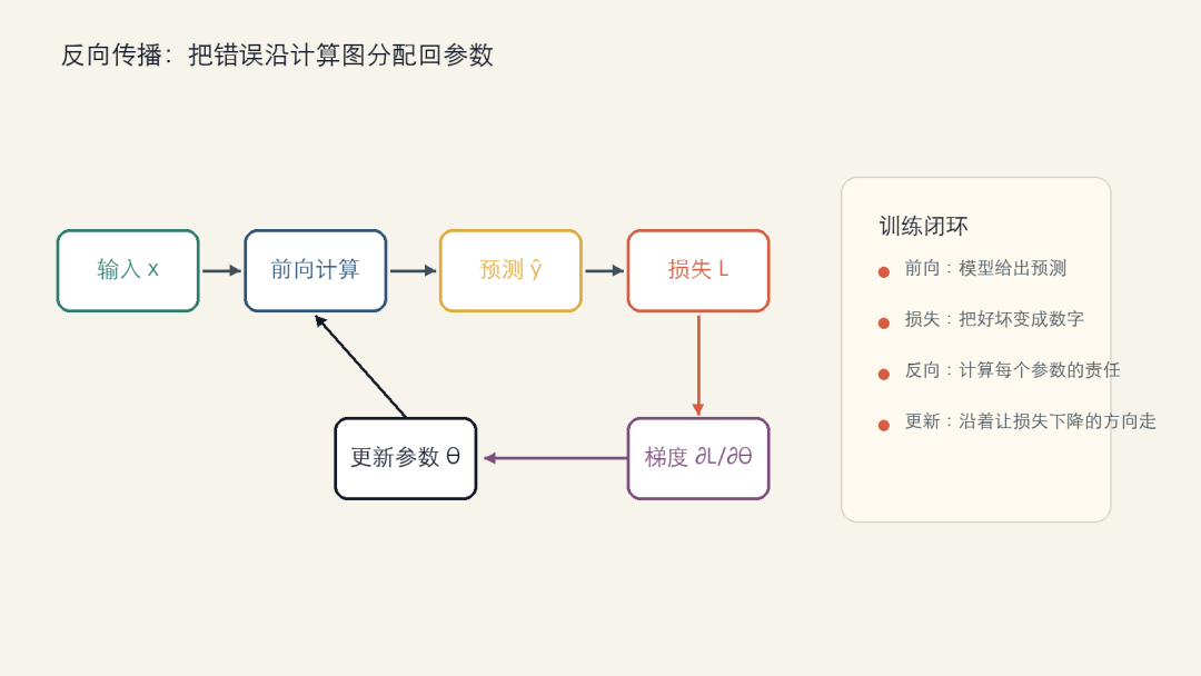 图 2:反向传播训练闭环