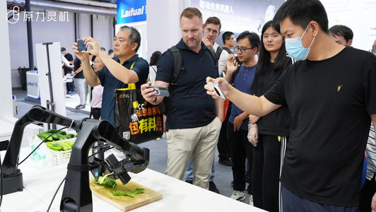 WRC观察：跳舞潮渐退，模型正在走向C位