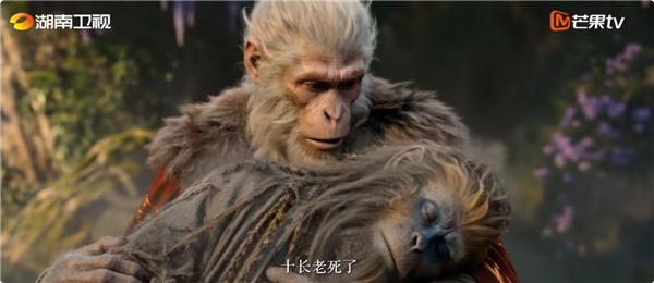 【来源：快科技】