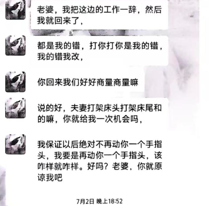 ▲张某向苗苗发送的恳求微信
