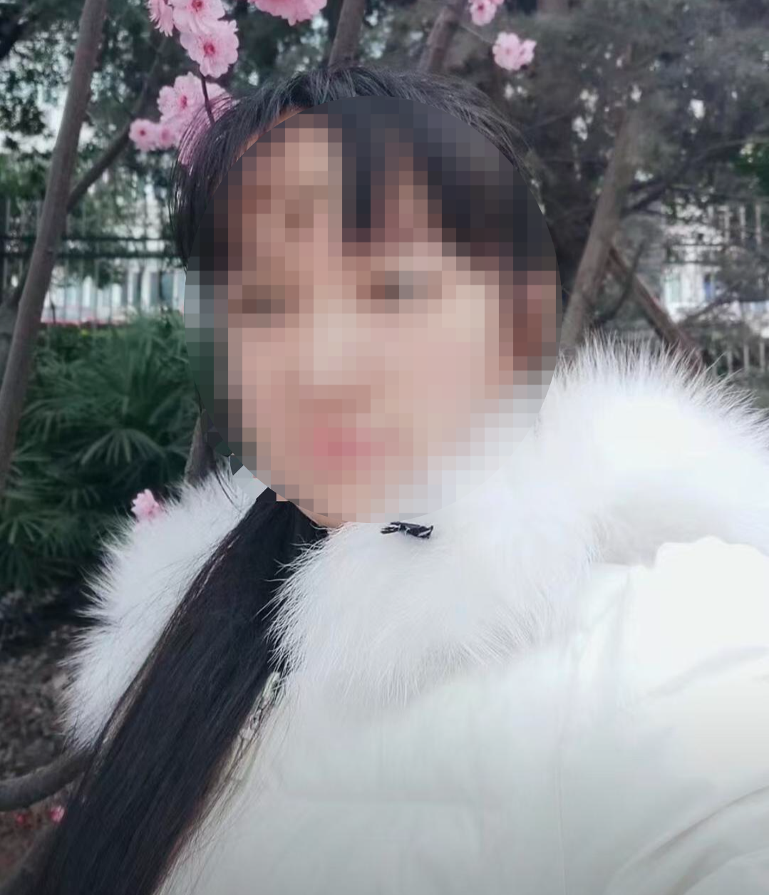 ▲苗苗生前照片 