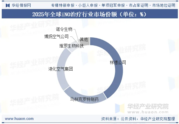 2025年全球iNO治疗行业市场份额（单位：%）