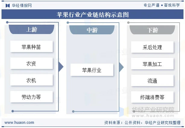 苹果行业产业链结构示意图 苹果行业产业链结构示意图