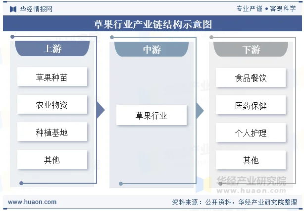 草果行业产业链结构示意图