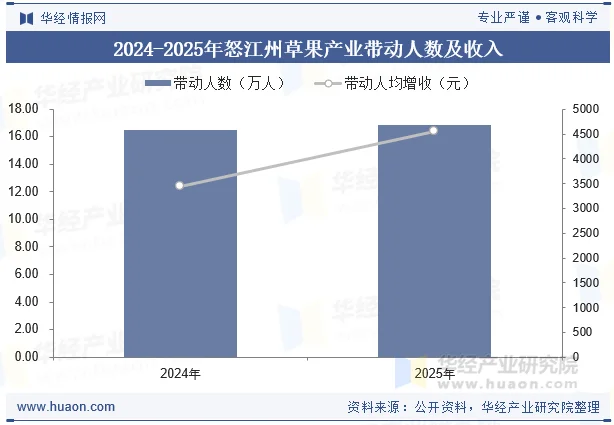 2024-2025年怒江州草果产业带动人数及收入