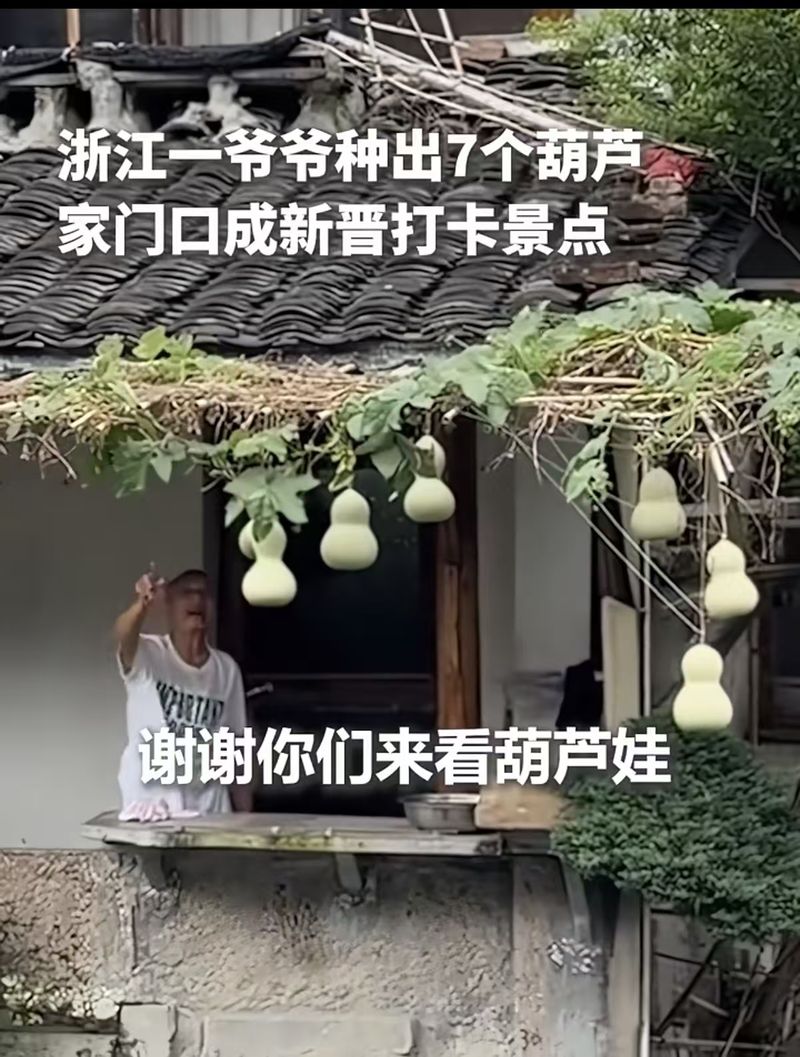 ▲现实版“爷爷和7个葫芦娃”走红，吸引全国游客打卡寻找童年。图/人民日报