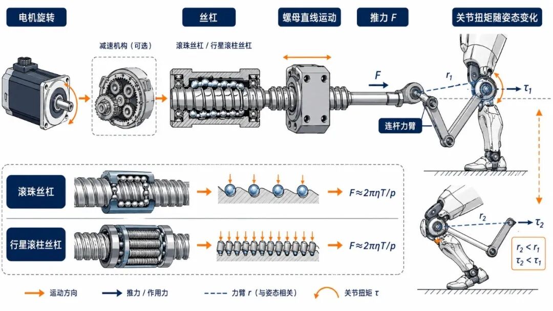 丝杠把电机旋转变为直线推力，推力再经连杆转化为随姿态变化的关节扭矩