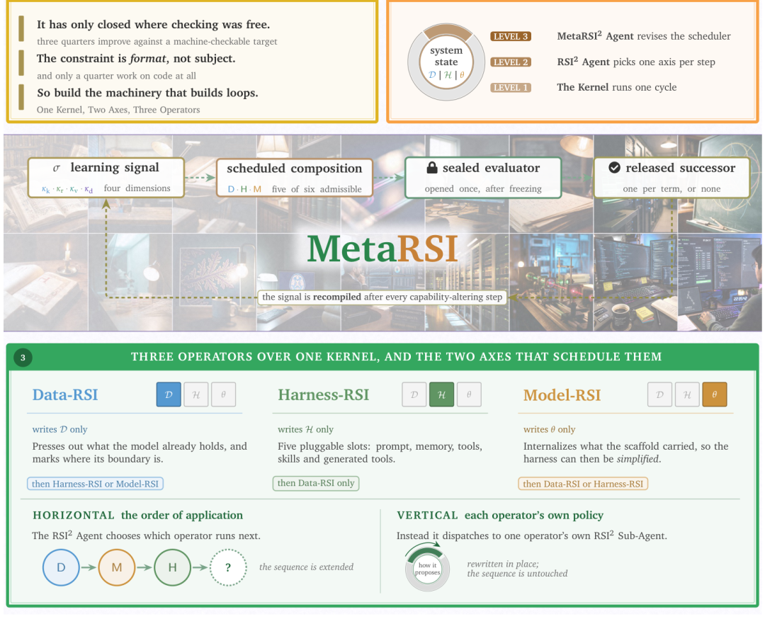 图 3：MetaRSI-v1 概览