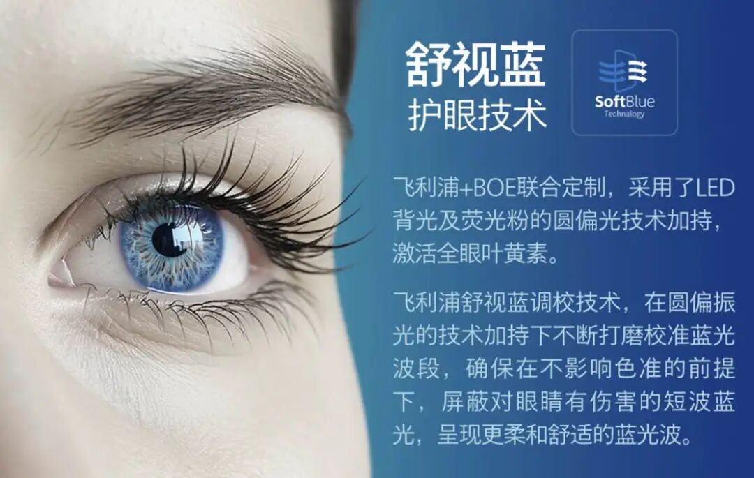 FPS电竞显示器推荐：EVNIA弈威25M4P5200T千帧旗舰优选