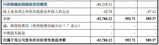 （图3：2025年股份支付费用 来源 招股书）