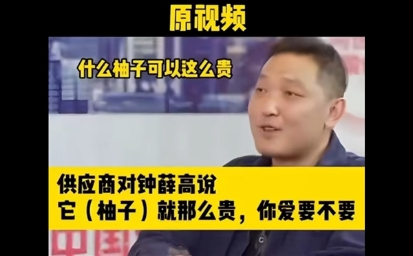 罗永浩怀念的钟薛高又复活了！换了新东家 9月16日正式亮相