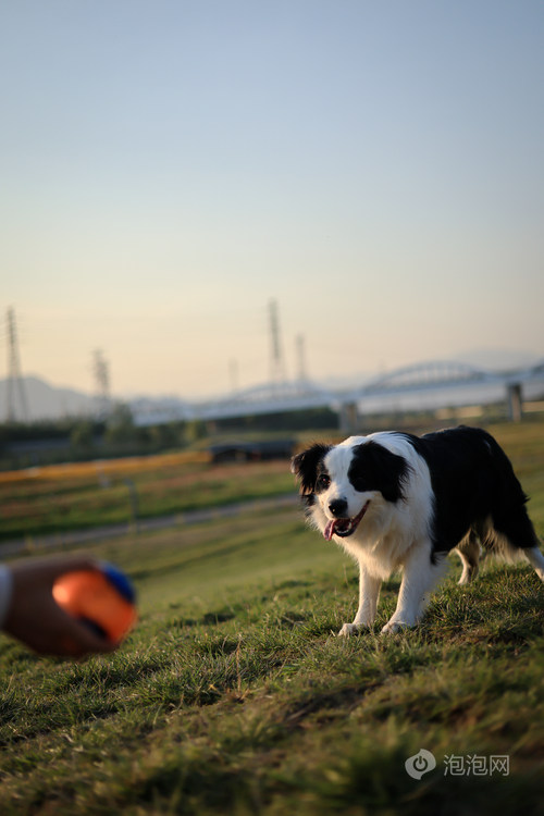 RF50mm F1.8 STM现场实拍样片